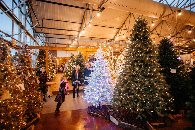 The Best Time to Buy an Artificial Christmas Tree: A Complete Guide - Sullivan Hardware & Garden