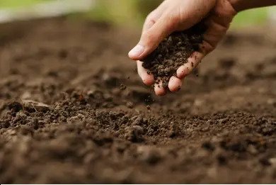 Dirt & Soil - Sullivan Hardware & Garden