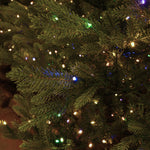 Carolina Fraser Fir Deluxe - Sullivan Hardware & Garden