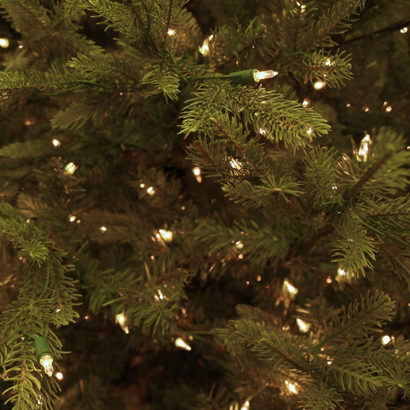 Carolina Fraser Fir Deluxe - Sullivan Hardware & Garden