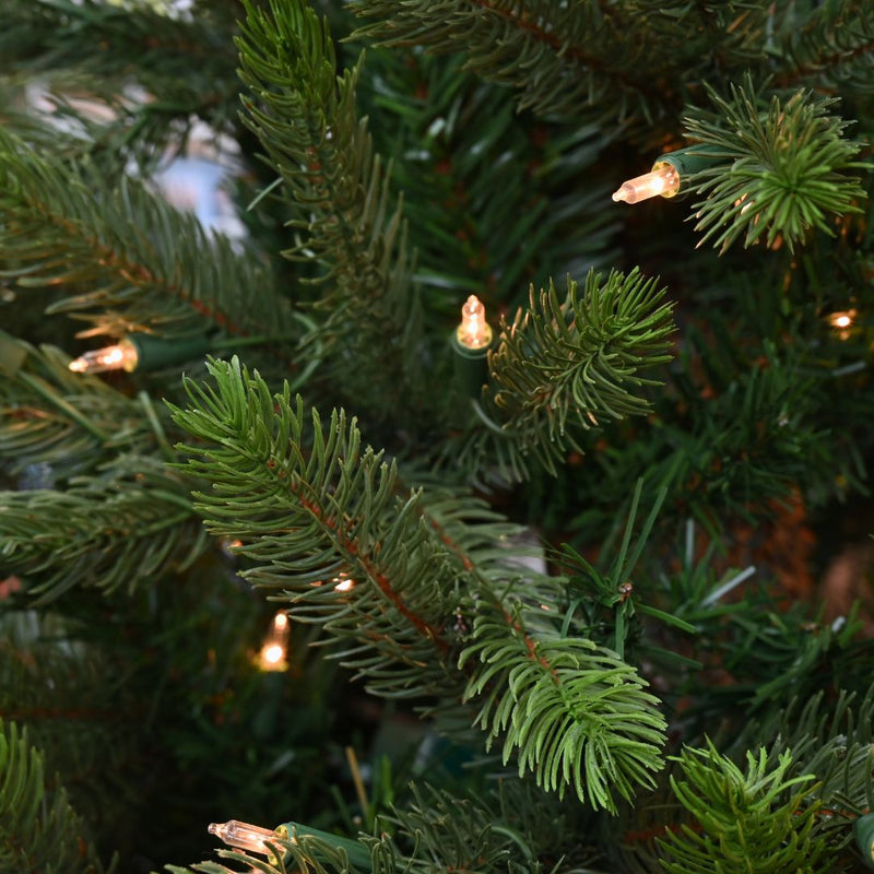 Close up shot of the Sullivan Christmas Grand Spruce with Incandescent lights