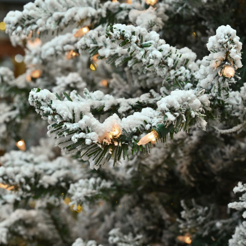 Snowy Ridge Spruce Deluxe - Sullivan Hardware & Garden