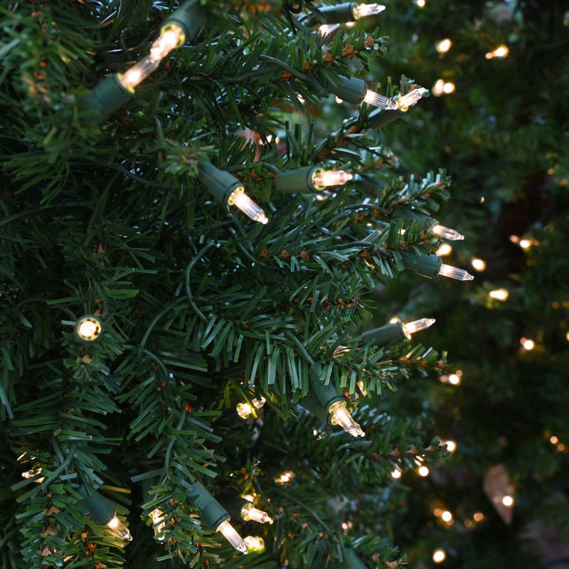 Close up shot of Sullivan Christmas Summit Spruce with Incandescent Clear Lights