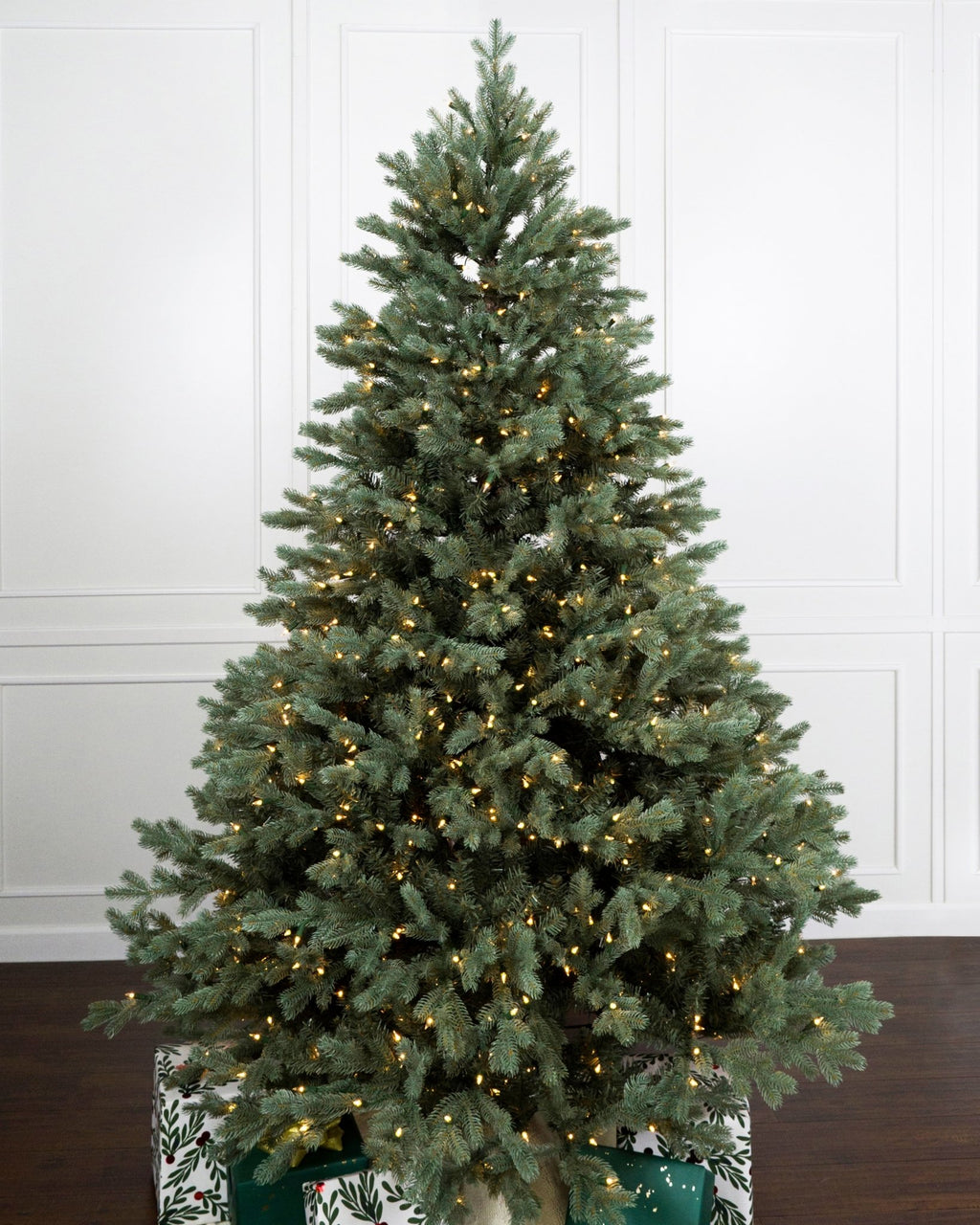 Augusta Blue Spruce - Sullivan Hardware & Garden